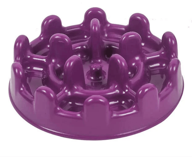 Comedouro Interativo Lento Pet Fit - Pet Games
